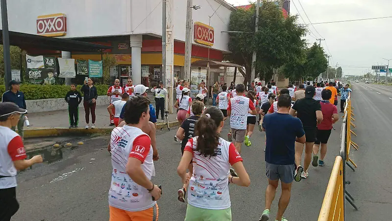 La ruta